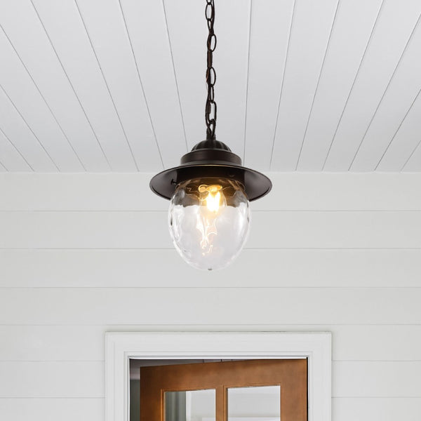 Z-Lite 8.25" Farmhouse Industrial Iron/Glass Outdoor LED Pendant