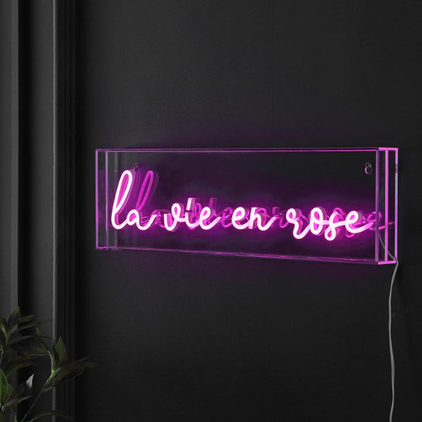 Bonjour  La Vie En Rose Contemporary Glam Acrylic Box USB Operated LED Neon Light